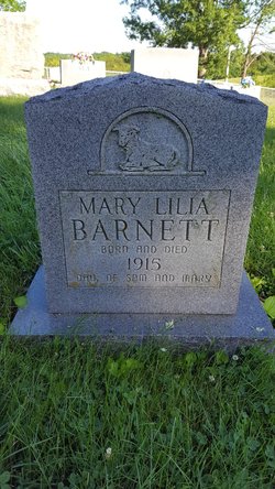 Mary Lilia Barnett 
