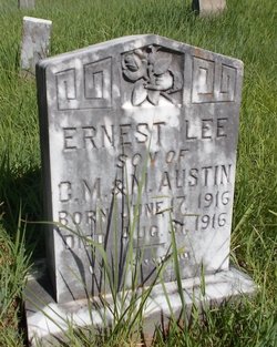 Ernest Lee Austin 
