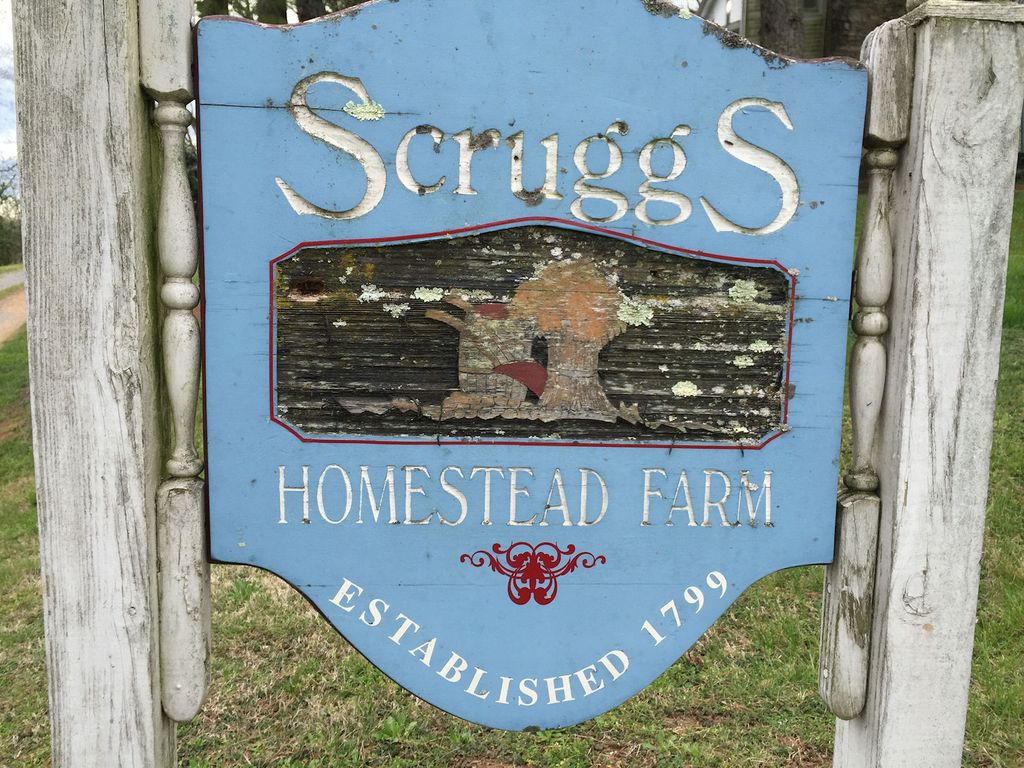 Scruggs Family Cemetery