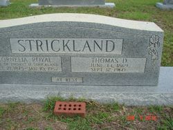 Thomas D Strickland 