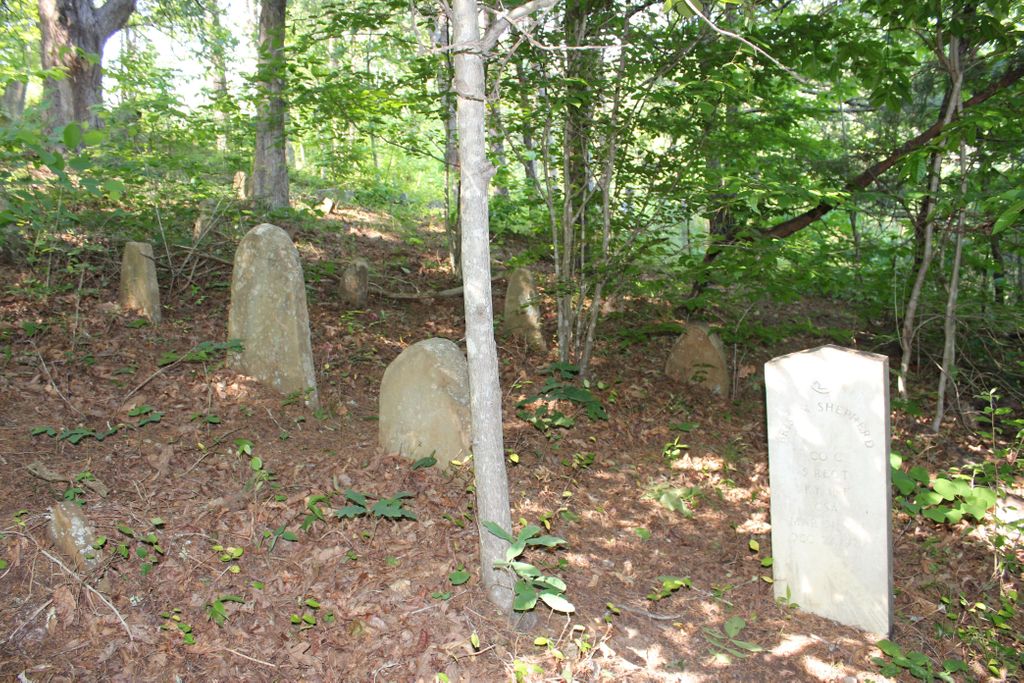 Brison Flitterfoot Shepherd Cemetery