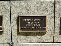 Andrew F Cuskelly 
