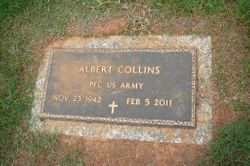 Albert Collins 