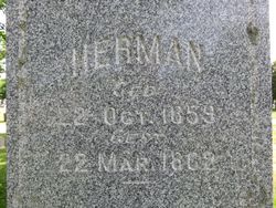 Herman Wilkens 