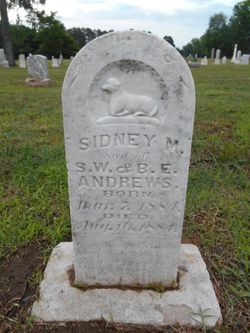 Sidney M Andrews 