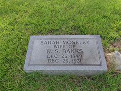 Sarah “Sallie” <I>Mosely</I> Banks 