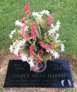 Cooper Mills Harris 
