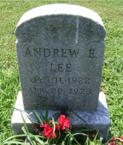 Andrew E. Lee 