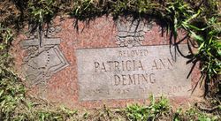 Patricia Ann <I>Starr</I> Deming 