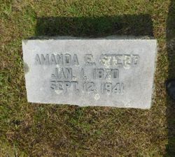Amanda E Steed 