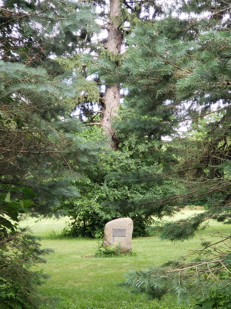 George Donohoe Grave Site