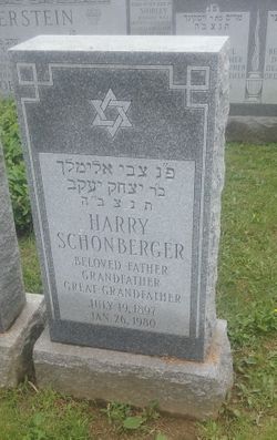 Harry Schoenberger 