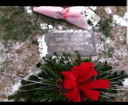 David Paul 