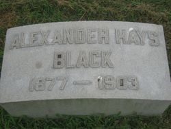Alexander Hays Black 