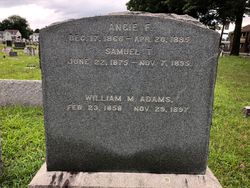 William M Adams 