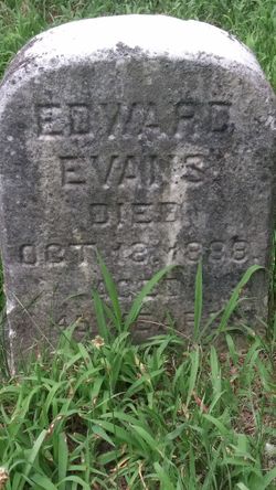 Edward Evans 