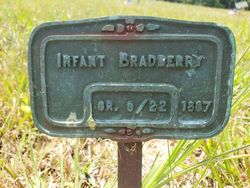 Infant Bradberry 