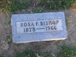Rosa <I>Fassett</I> Bishop 
