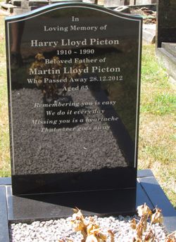 Harry Lloyd Picton 