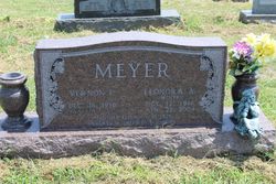 Vernon Meyer 