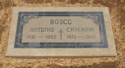 Antonio Bosco 