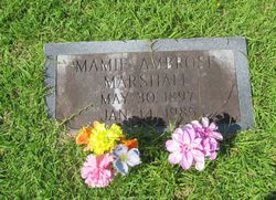 Mary Ruth “Mamie” <I>Walker</I> Ambrose Marshall 
