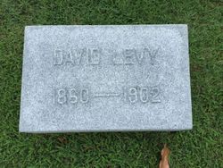 David Levy 