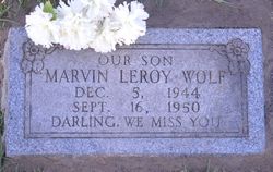 Marvin Leroy Wolf 