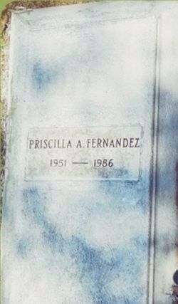Priscilla <I>Ashe</I> Fernandez 