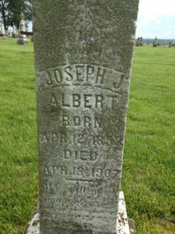 Joseph J Albert 