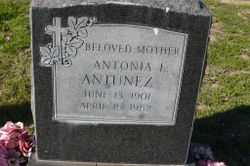 Antonia L Antunez 