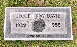 Joseph Roy David 
