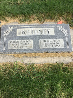 Harvey Alonzo Whitney Jr.