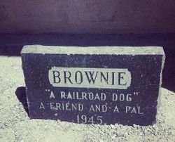 Brownie The Railroad Dog 
