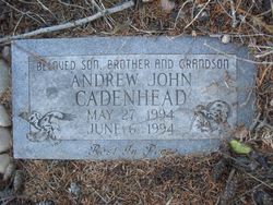 Andrew John Cadenhead 