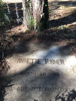 Annette Turner 