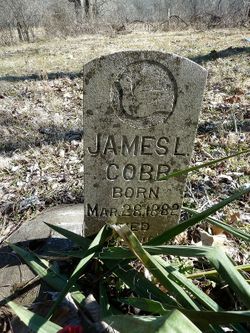 James Lewis Cobb 