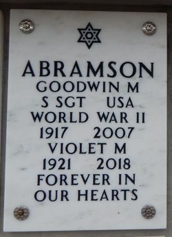 Goodwin Michael Abramson 