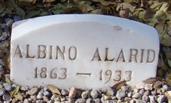 Albino Alarid 