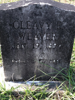 Cleavye Weaver 