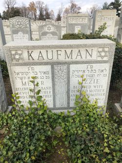 Meyer Kaufman 