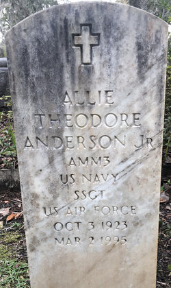 Allie Theodore Anderson Jr.
