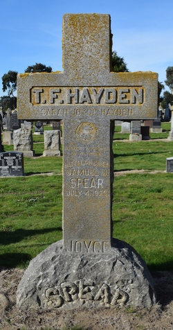 Thomas F Hayden 