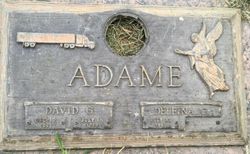David G Adame 