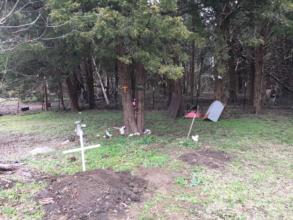 Floyd Homestead Pet Cemetery