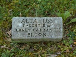 Alta Brown 