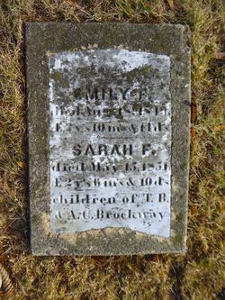 Sarah F. Brockway 