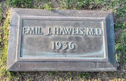 Dr Emil J. Haweis 