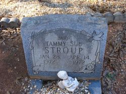 Tammy Sue Stroup 