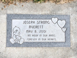 Joseph Strong Averett 